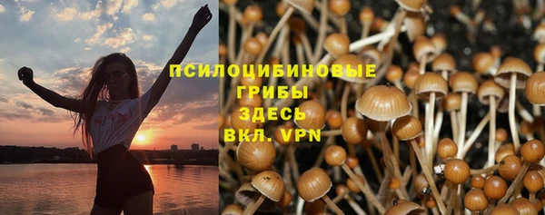стаф Рославль